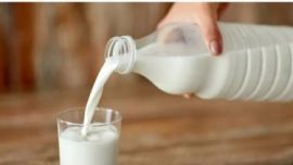 上半年，新疆奶的发展情况怎么样？