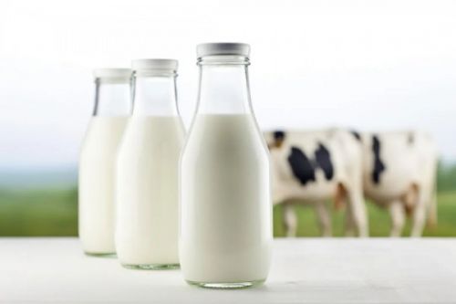哪地增长了38.2%？西藏、青海、新疆、黑龙江……公布最新牛奶产量！