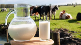人民日报：扩大奶类消费，促进奶业高质量发展