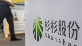 告别“豪门内耗”！杉杉股份净利狂飙899%！
