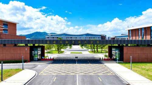 图片5