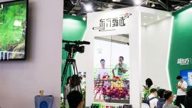 告别“超级主播”，东方甄选净利润暴增93倍